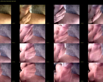 stefs_dick