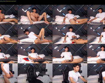 austin_falcon