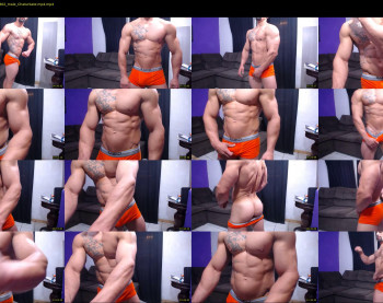 bestmuscle