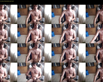 dalfox_94