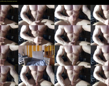 insanephisique
