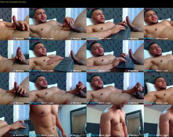 martin_logan