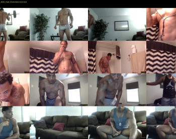 sharkdickwilly