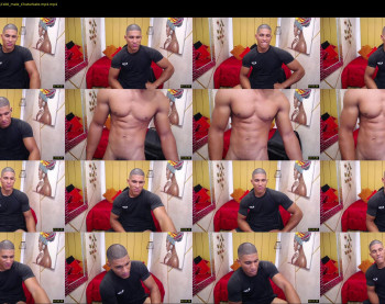 teddyfit19cm