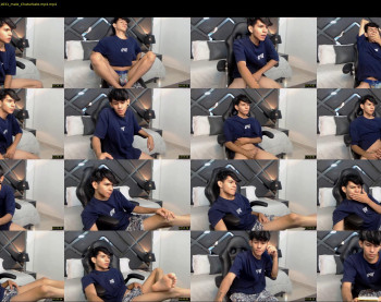 austin_falcon