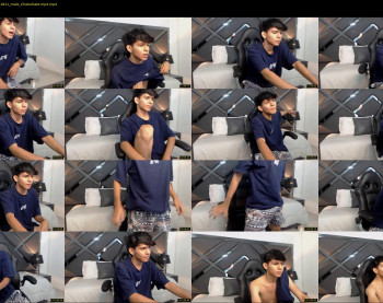austin_falcon