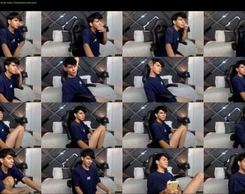 austin_falcon