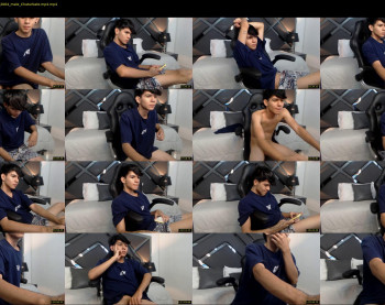 austin_falcon