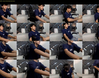 austin_falcon