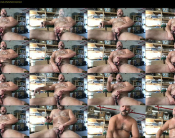 cjbbear