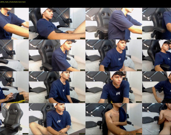 austin_falcon