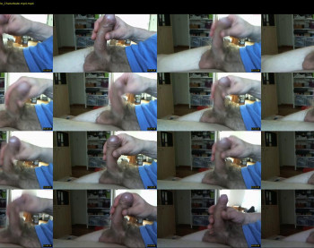 elk_