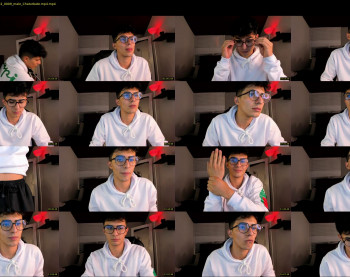 misterhouston1