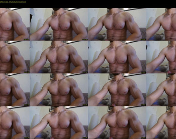nick_thestud