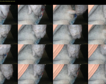 stillhorny53