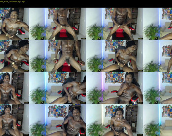 yeckodream