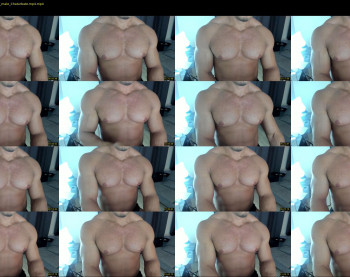 flex_x_x