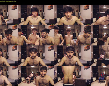teddy_mode