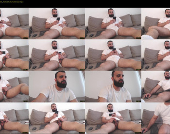 djefri_bear