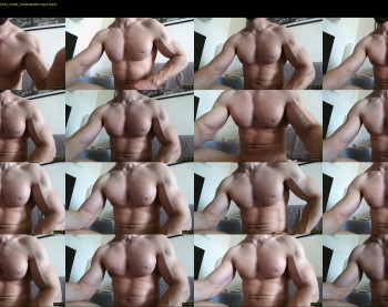 nick_thestud