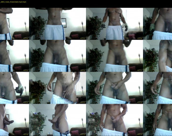 sharkdickwilly