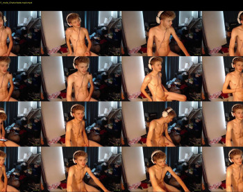 thed3fect