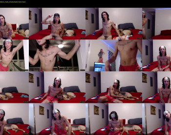 tommy_lee_ii