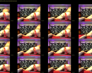 wiltryanything2x