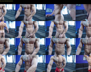 bestmuscle