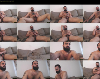 djefri_bear
