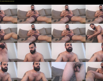 djefri_bear