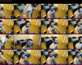 osito_blanco