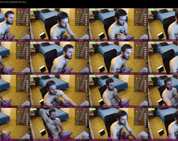 osito_blanco