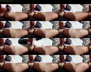 pepe_pepin