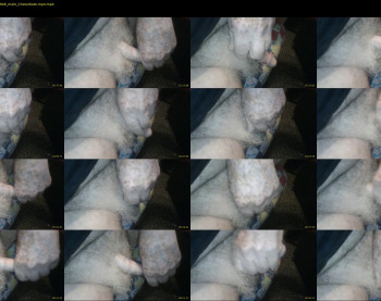 stillhorny53