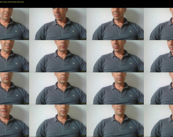 vitellone_2