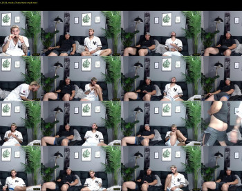 web_gammer_