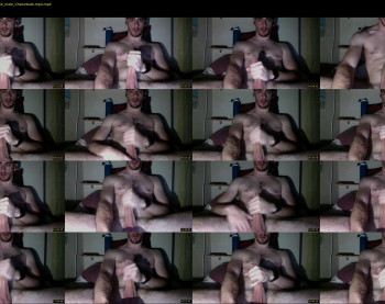 dalfox_94