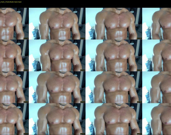 flex_x_x