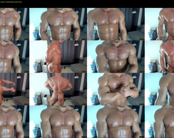 flex_x_x