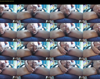 myster_fox