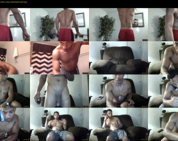 sharkdickwilly