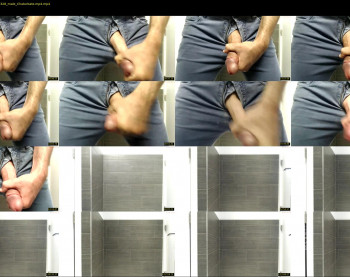 stallion8nyc