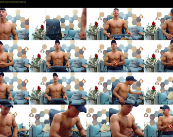 steve__torres