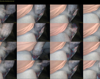 stillhorny53