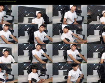 austin_falcon