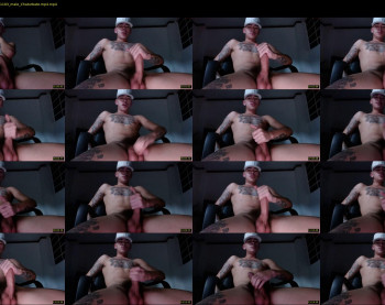 dominickwild