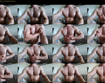 nick_thestud