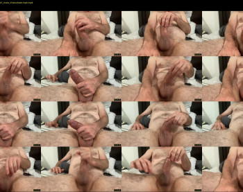 puslicker4